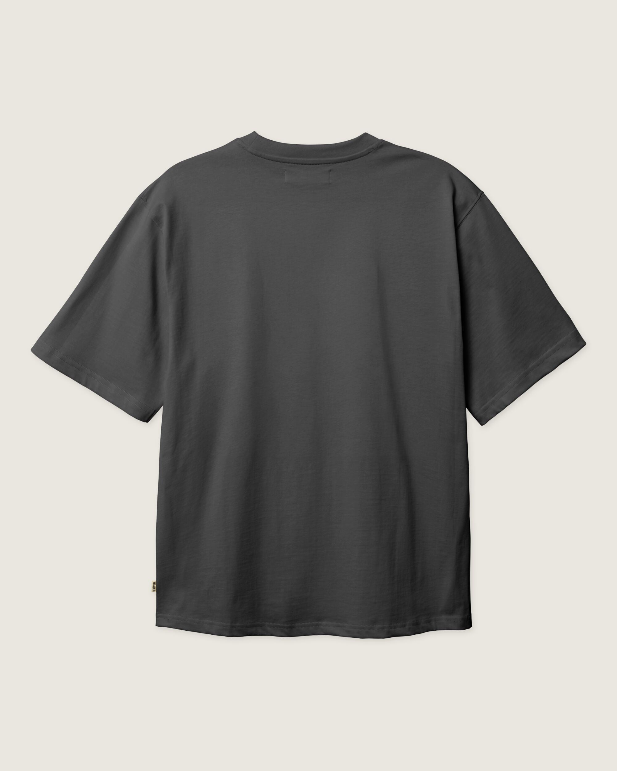 Woodbird WBBaine Base tee T-Shirts Asphalt