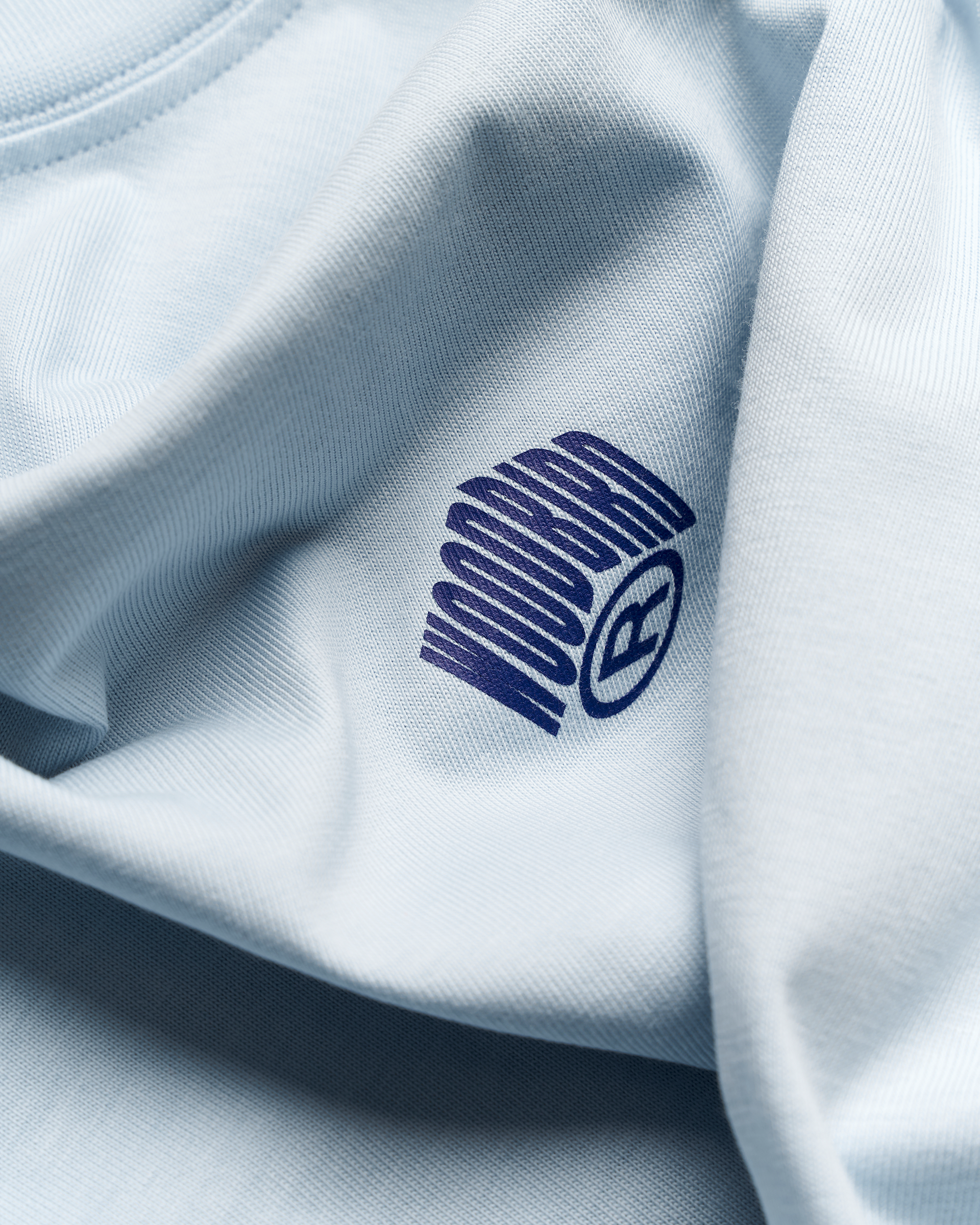 Woodbird WBBaine Carp Tee T-Shirts Dusty Blue