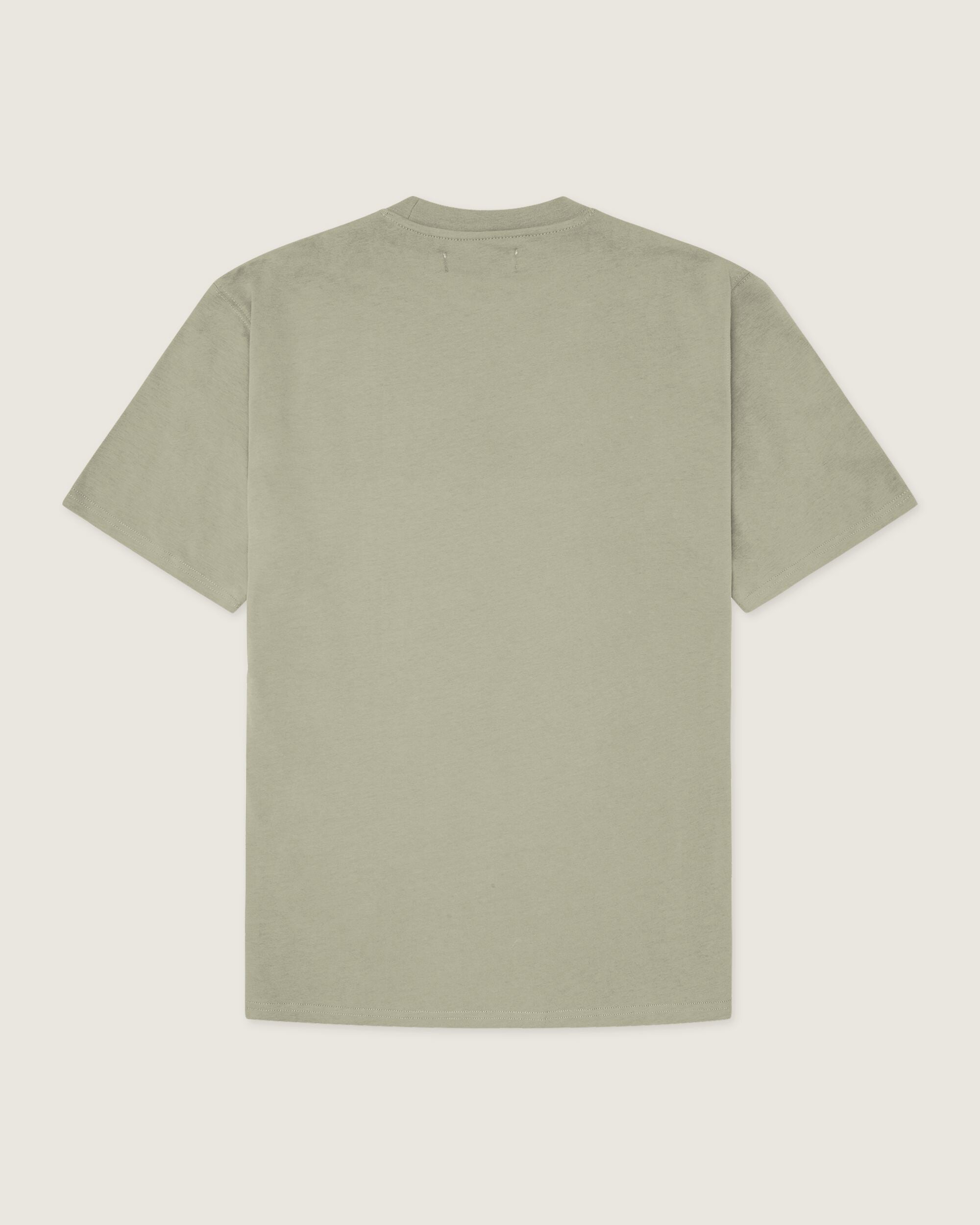 Woodbird WBBaine Truck Tee T-Shirts Stone