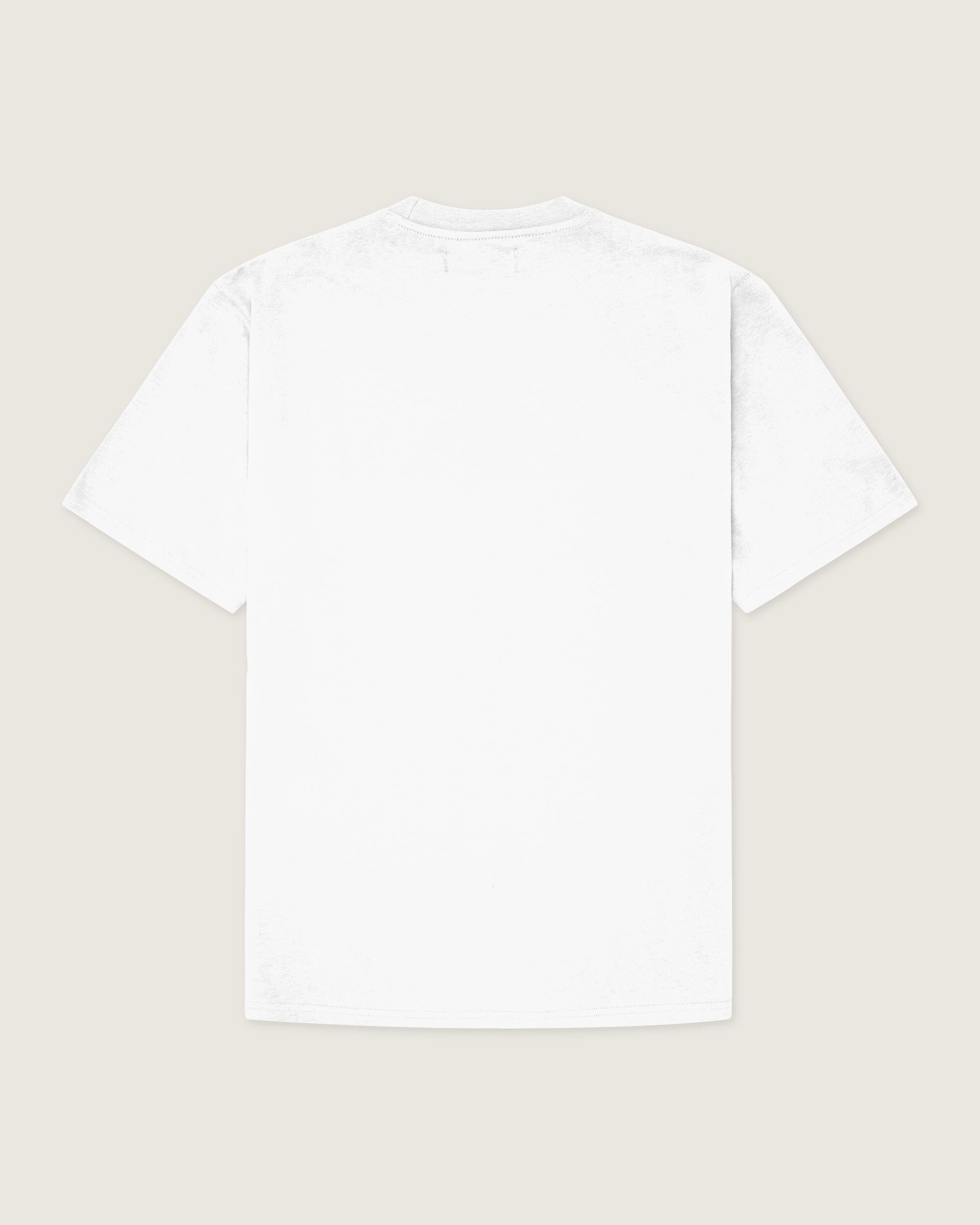 Woodbird WBBaine Truck Tee T-Shirts White