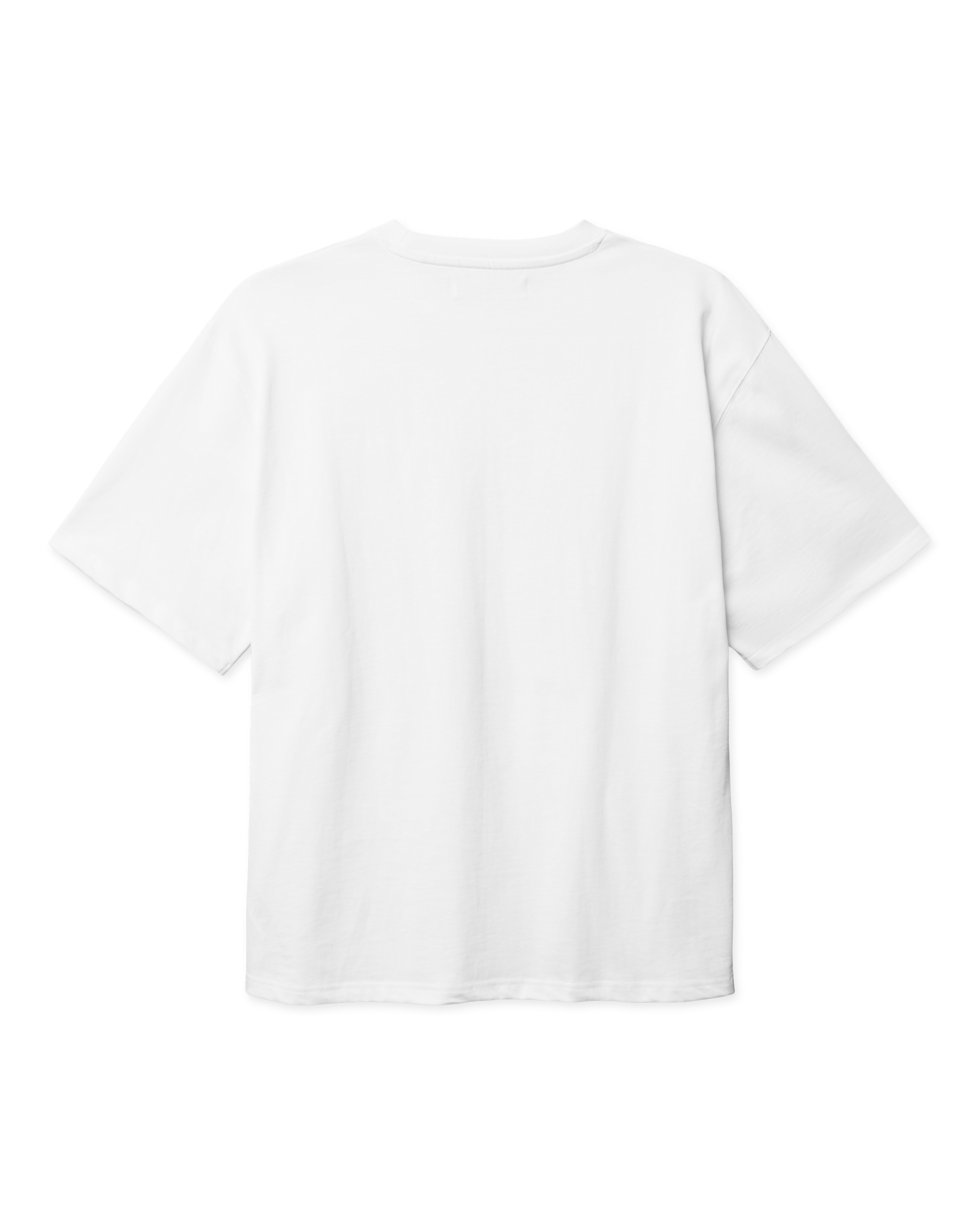 Woodbird WBBaine Truck Tee T-Shirts White