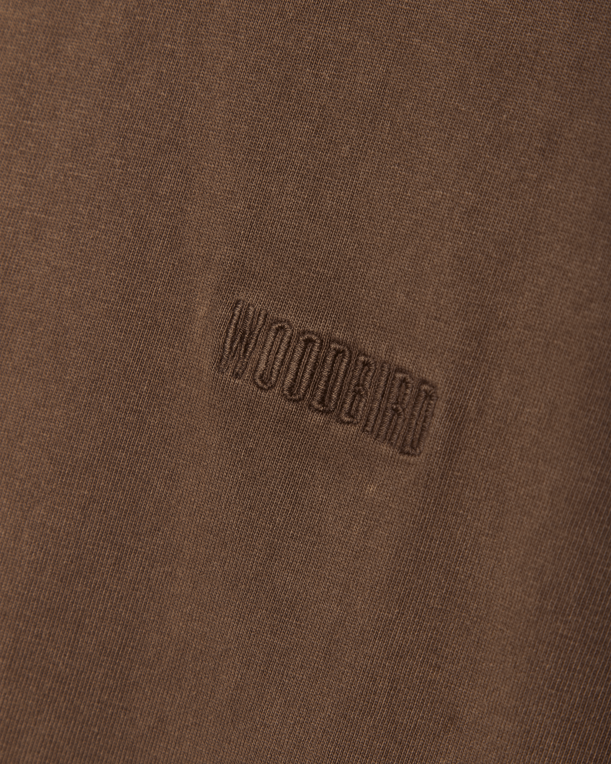 Woodbird WBBaine Washed Tee T-Shirts Brown