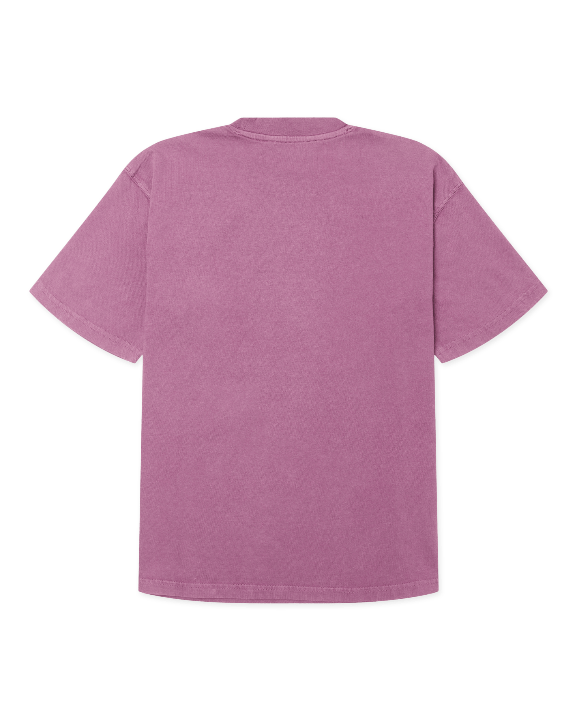 Woodbird Female WBBalo Washed Tee T-Shirts Washed Purple