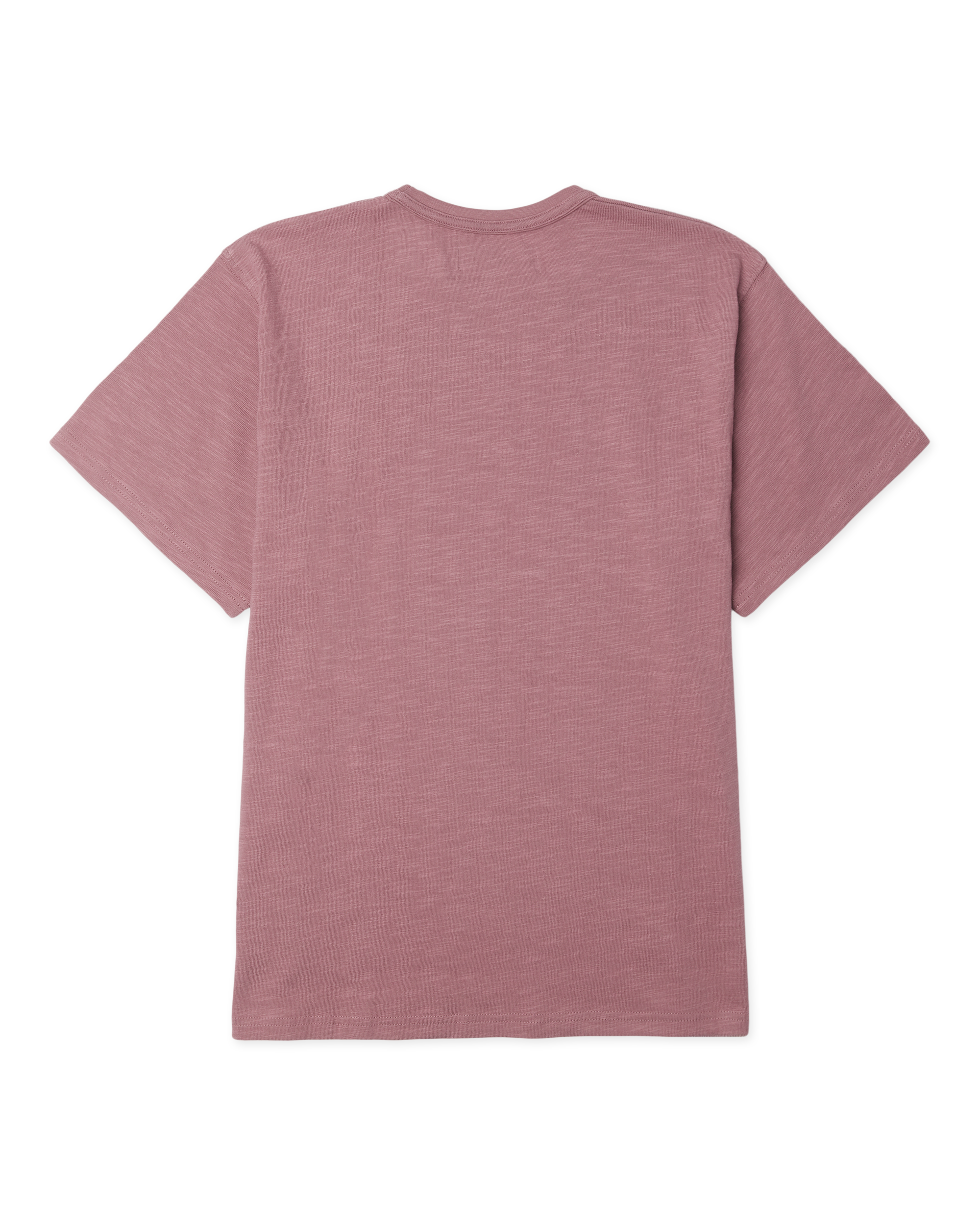 Woodbird WBBone Slub Tee T-Shirts Violet