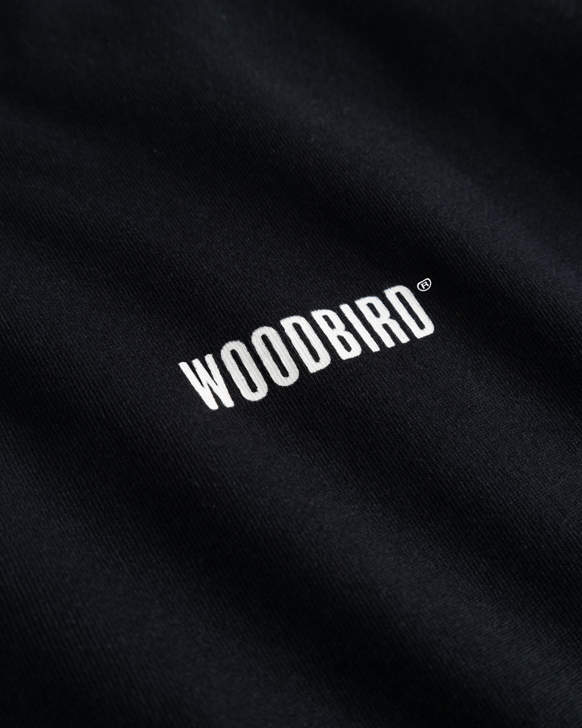 Woodbird WBJoes L/S Logo Tee T-Shirts Black