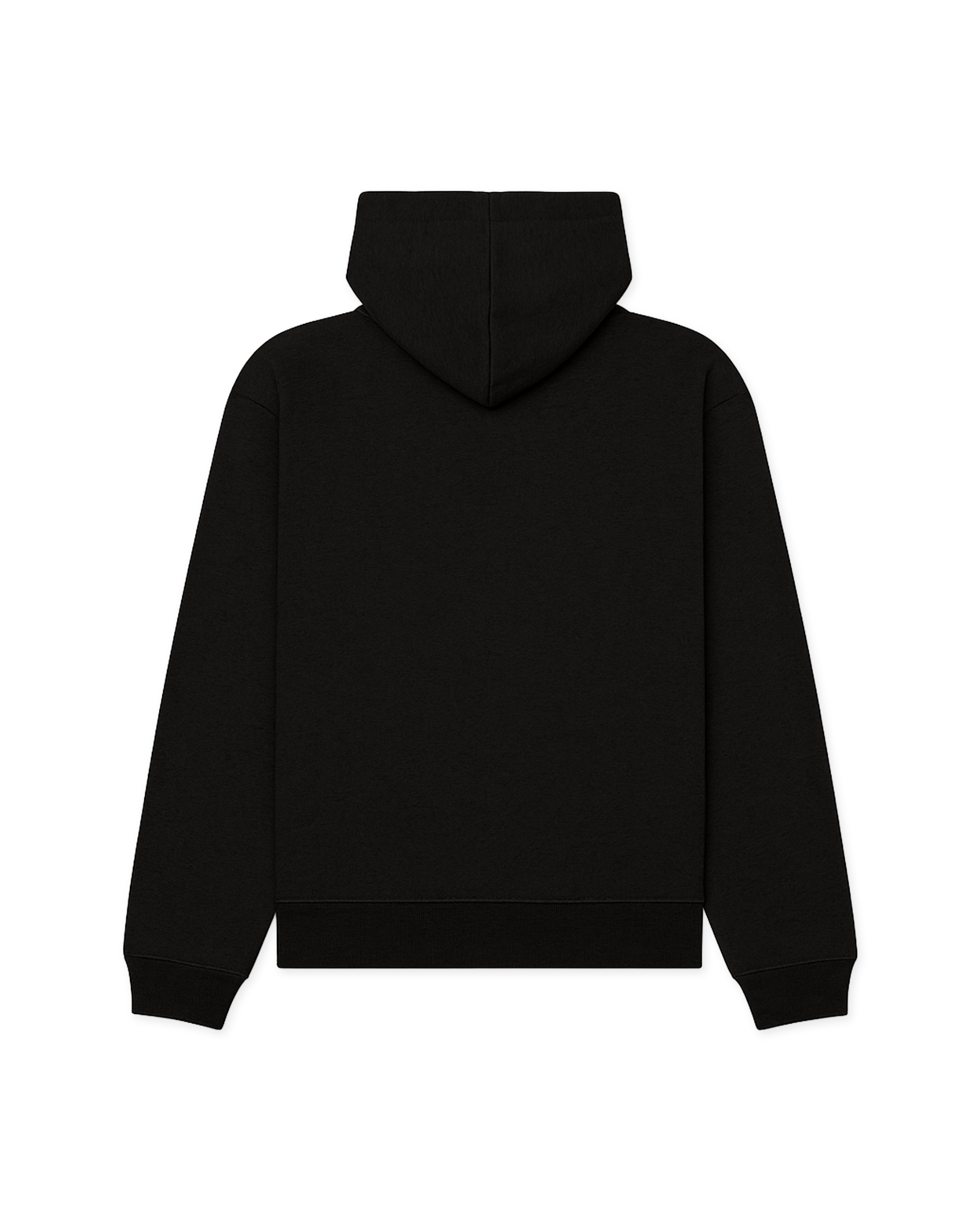 Woodbird WBPacs Base Hoodie Sweats Black